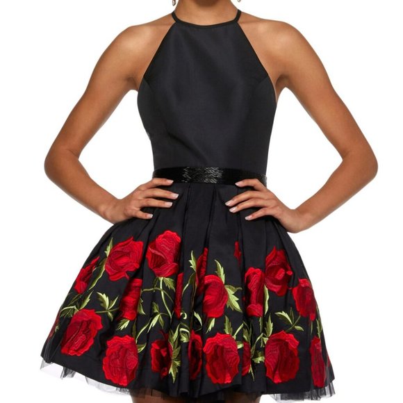 Sherri Hill Dresses & Skirts - Sherri Hill Dress (53023) - Size 2. (SEE VIDEO)